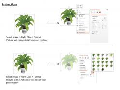 0814 plant in pot for environment natural beauty concepts graphics for powerpoint