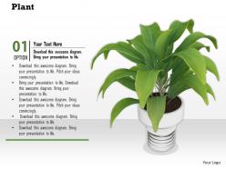 0814 plant potted environment for natural beauty graphics for powerpoint