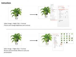 0814 plant potted environment for natural beauty graphics for powerpoint