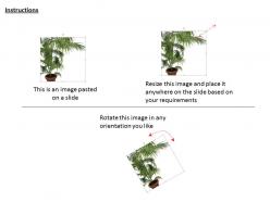 0814 plant potted nature environment concepts graphics for powerpoint