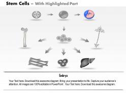 0814 pluripotent embryonic stem cells originate as inner cell mass cells medical images for powerpoint
