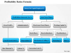 0814 profitability ratios formula powerpoint presentation slide template