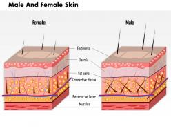 0814 skin male and female medical images for powerpoint
