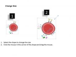 0814 staphylococcus aureus bacterium medical images for powerpoint