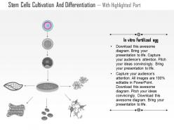 0814 stem cells cultivation and differentiation medical images for powerpoint