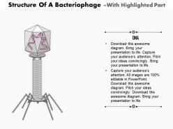 0814 structure of a bacteriophage medical images for powerpoint