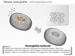 0814 structure of human hemoglobin molecule medical images for powerpoint