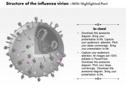 0814 structure of the influenza virion medical images for powerpoint