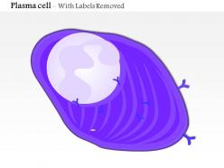 0814 structure of the plasma cell medical images for powerpoint