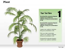 0814 Tall Plant Potted For Environment Natural Beauty Graphic Image Graphics For Powerpoint