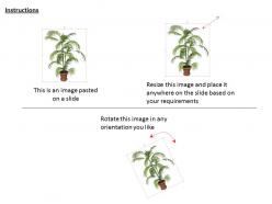 0814 tall plant potted for environment natural beauty graphic image graphics for powerpoint