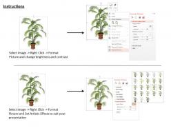 0814 tall plant potted for environment natural beauty graphic image graphics for powerpoint