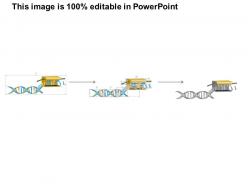 0814 telomerase medical images for powerpoint