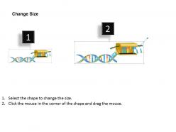 0814 telomerase medical images for powerpoint
