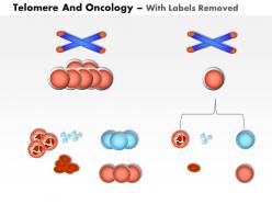 0814 telomere and oncology medical images for powerpoint