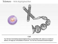 0814 telomere medical images for powerpoint