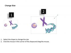 0814 telomere medical images for powerpoint