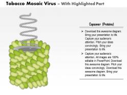 0814 tobacco mosaic virus medical images for powerpoint