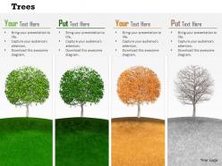 0814 trees to show four different seasons image graphics for powerpoint