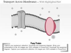 0814 types of transport across membranes medical images for powerpoint