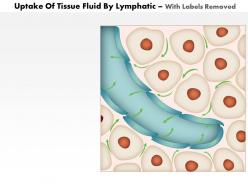 0814 uptake of tissue fluid by lymphatic medical images for powerpoint