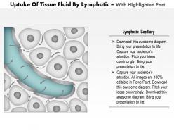 0814 uptake of tissue fluid by lymphatic medical images for powerpoint