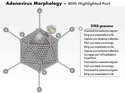 0914 adenovirus morphology medical images for powerpoint