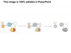 35794566 style medical 3 molecular cell 1 piece powerpoint presentation diagram template slide