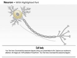 0914 anatomy of a typical human neuron medical images for powerpoint