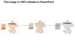 69517381 style medical 2 immune 1 piece powerpoint presentation diagram template slide