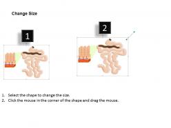 0914 anatomy of the wall of the small intestine medical images for powerpoint