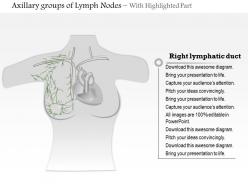 0914 axillary groups of lymph nodes medical images for powerpoint