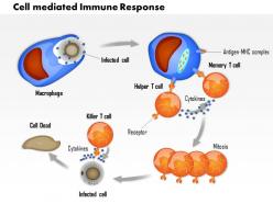 0914 cell mediated immunity medical images for powerpoint