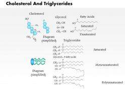 0914 cholesterol and triglycerides medical images for powerpoint