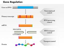 0914 gene regulation medical images for powerpoint