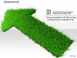 0914 grass arrow growth concept ppt slide image graphics for powerpoint