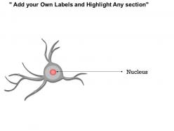 40155116 style medical 3 neuroscience 1 piece powerpoint presentation diagram infographic slide