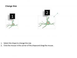 0914 human nerve cell medical images for powerpoint