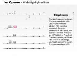 0914 lac operon medical images for powerpoint