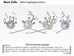 0914 mast cells medical images for powerpoint