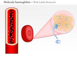 0914 molecule hemoglobin medical images for powerpoint