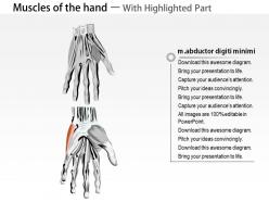 0914 muscles of the hand medical images for powerpoint