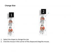 0914 muscles of the hand medical images for powerpoint