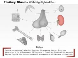 0914 pituitary hormone functions medical images for powerpoint