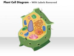0914 plant cell diagram medical images for powerpoint