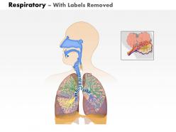 0914 respiratory system medical images for powerpoint