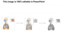 37907111 style medical 3 biology 1 piece powerpoint presentation diagram infographic slide