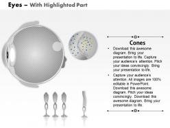 0914 schematic structure of the retina rod cells and cone cells medical images for powerpoint
