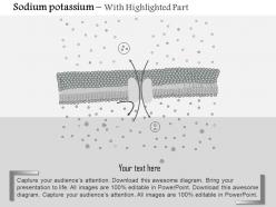 0914 sodium potassium pump and ionic basis of the resting membrane potential medical images for powerpoint