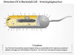 0914 structure of a bacterial cell medical images for powerpoint